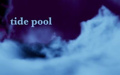 tide pool.