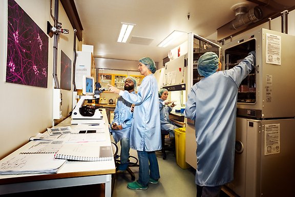 Forskare i ett laboratorium. En öppnar en inkubator, två tittar på en skärm och en arbetar i en säkerhetsbänk.