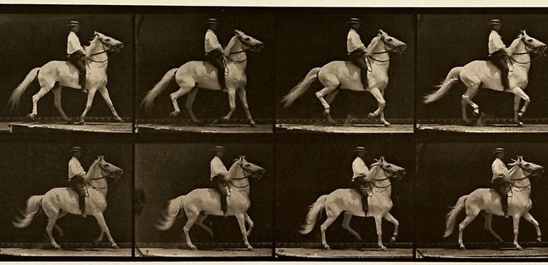 Detail of Animal locomotion. Plate 589, av Muybridge, Eadweard, 1830-1904.