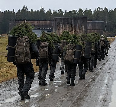 Draftees with backpacks and pine branches on their helmets, out marching on a muddy road. Seen from behind.