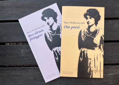 Böcker av Mary wollstonecraft