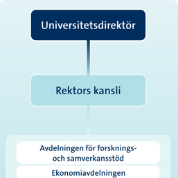 Universitetsdirektör, rektors kansli samt 10 avdelningar