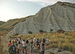 A cyclostratigraphy field excursion, Sicily, Monte San Nicola. Photo: Helen Coxall