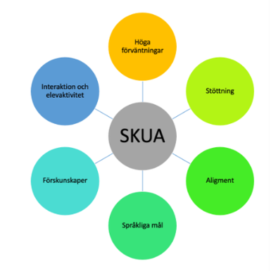höga förväntningar, stöttning, alignment, språkliga mål, förkunskaper, interaktion och elevaktivitet
