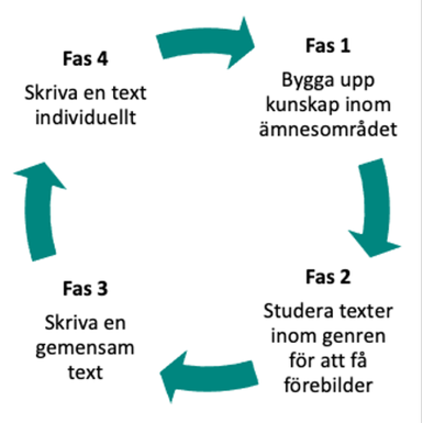 Cirkelmodellens fyra faser illustrerade i en cirkel med en pil mellan varje fas.