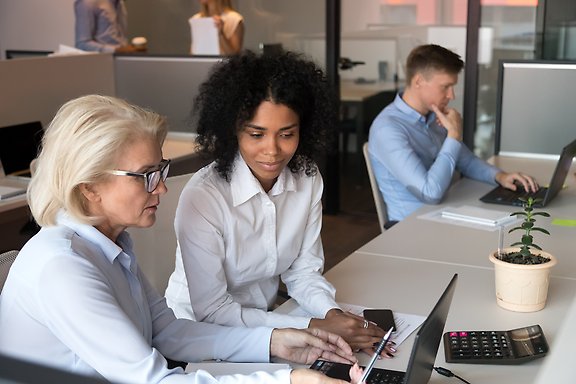 different aged employees sitting at shared office working together